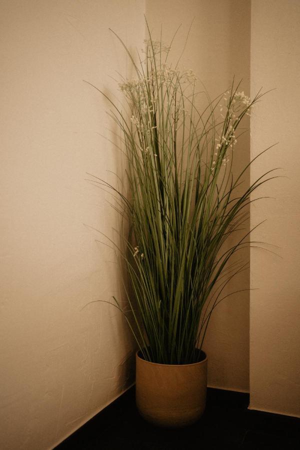 Huize Schaberg Bed and Breakfast Borgloon Buitenkant foto